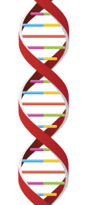 Dna firemní kultury